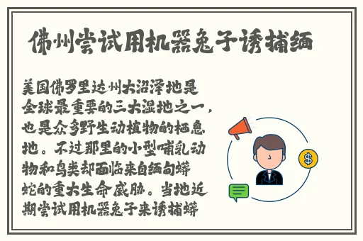 51吃瓜.word代璐蘑菇
